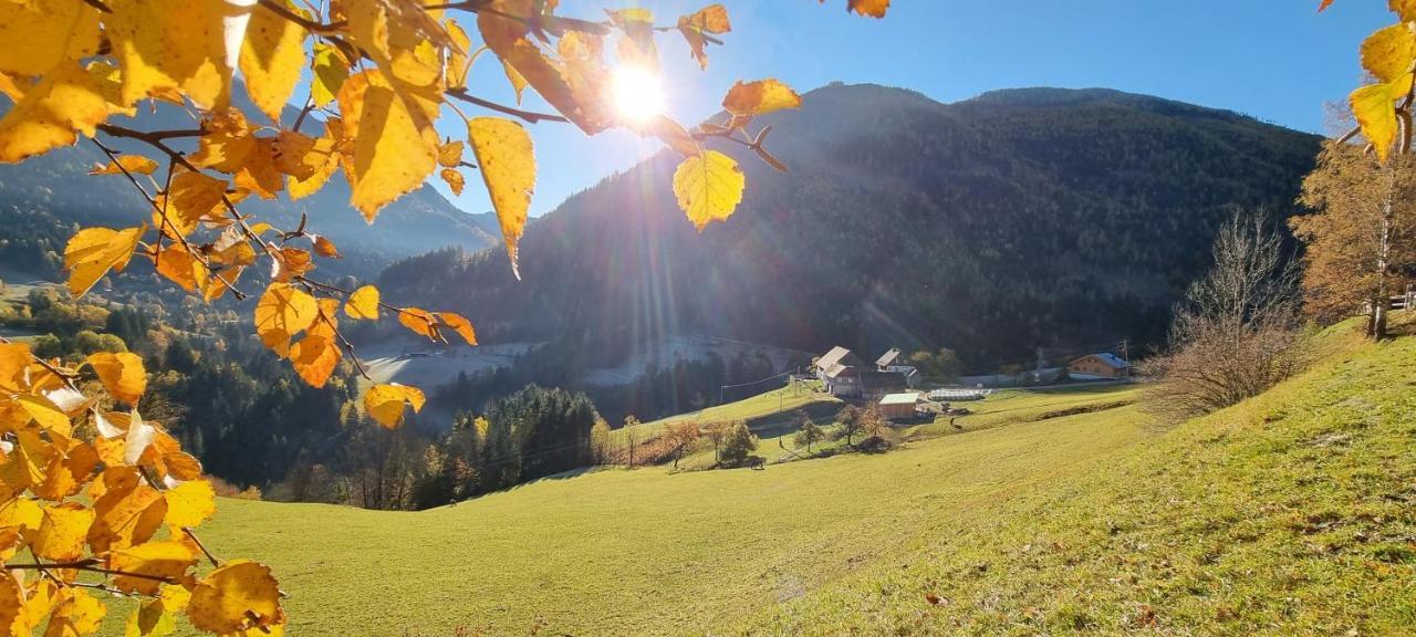 Koeck-Chalet Villa Kleinsolk Luaran gambar